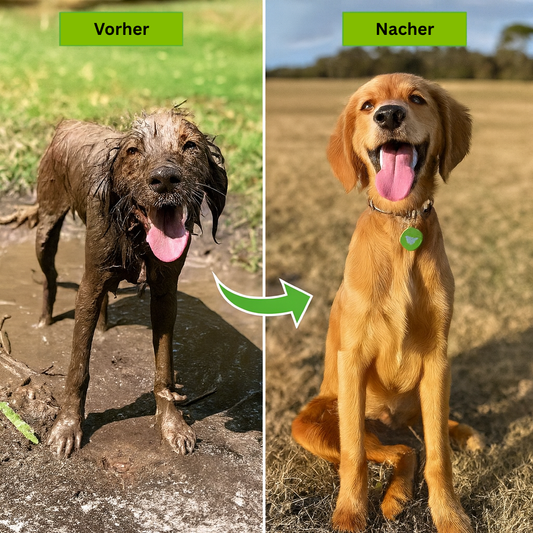 AquaFun Spritzpistole | Seifentank, Hochdruck & 8 Strahlarten | Multifunktional